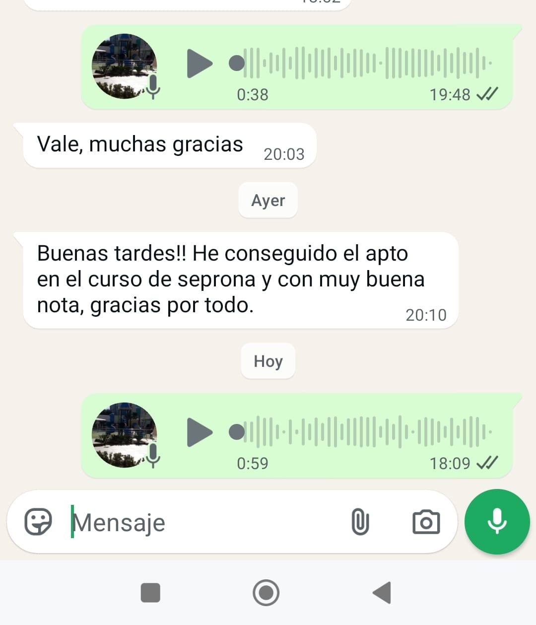 Opinión 5